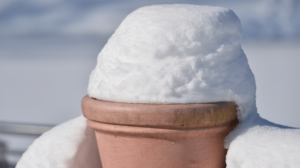 Ein Blumentopf, auf dem sich Schnee türmt.