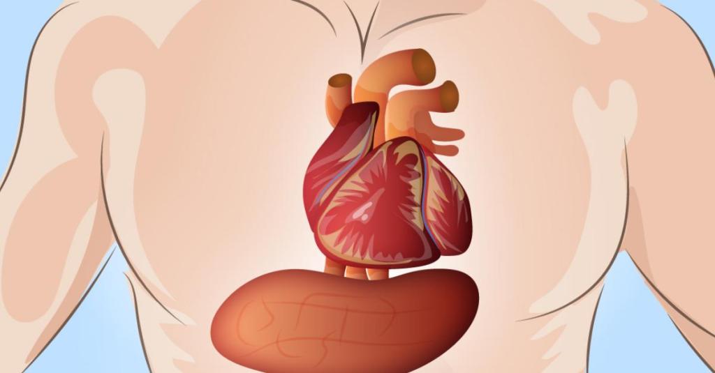 Herzinfarkt: 6 Symptome, die Warnzeichen sind