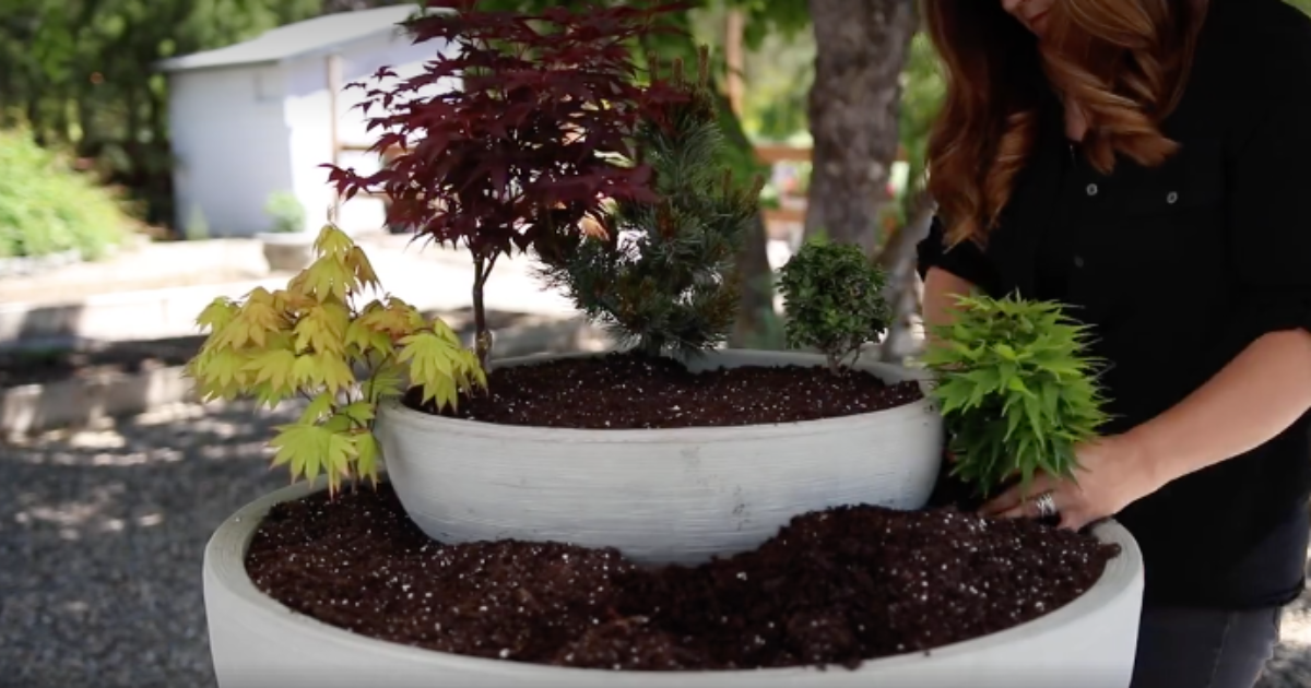 Garten MiniZengarten selber machen Genialetricks
