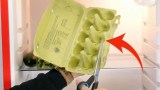 ein leerer Eierkarton wird zerschnitten