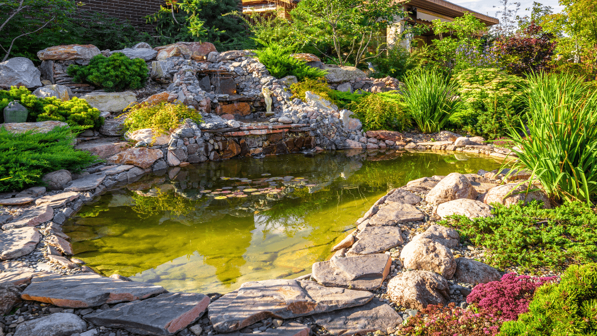 Schöner Teich im Garten
