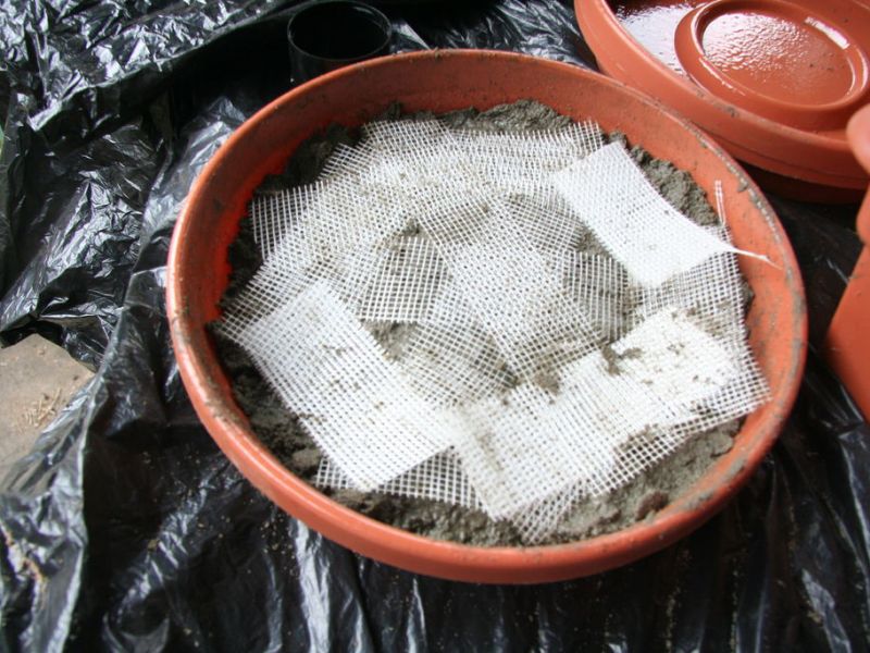 Eine der Gartenideen für wenig Geld: Selbst gemachte Trittsteine aus Beton.