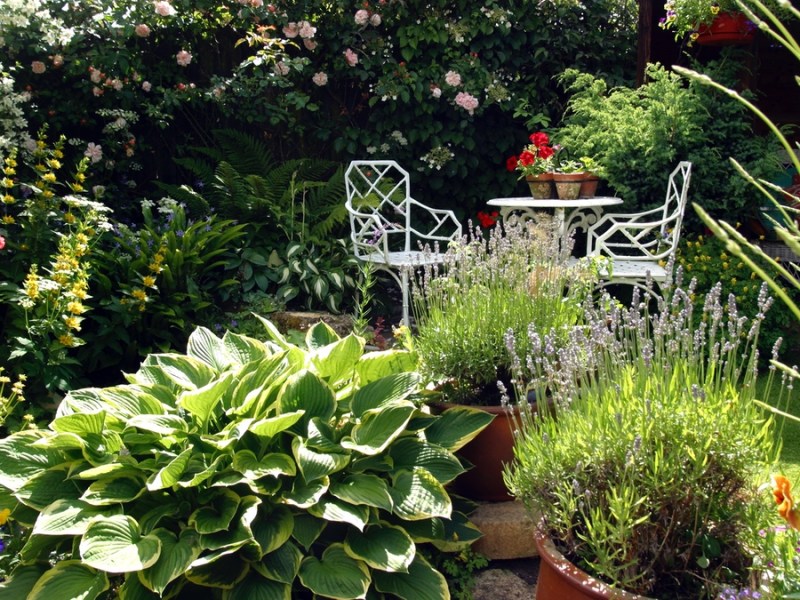 Ein kleiner Garten mit vielen Pflanzenkübeln.