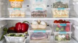 in einem Kühlschrank stehen Vorratssdosen aus Kunststoff