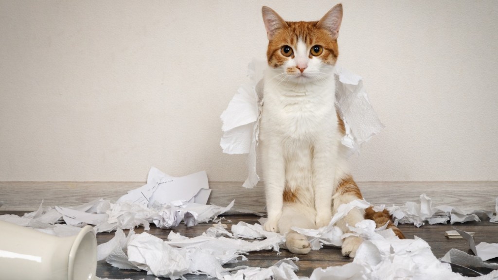 eine Katze sitzt inmitten unzähliger Papierschnipsel
