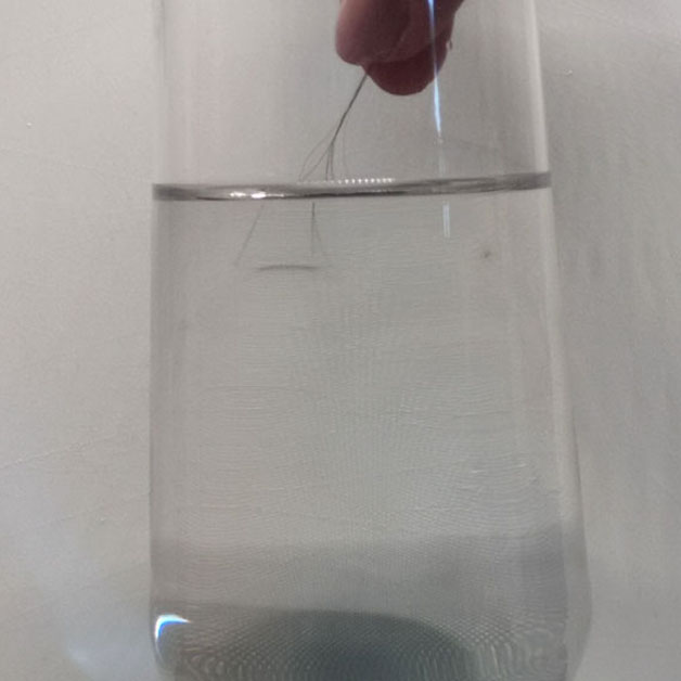 Ein Haar wird in ein Wasserglas gehalten.