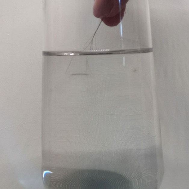 Ein Haar wird in ein Wasserglas gehalten.