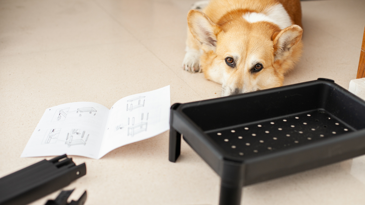 Ein Hund liegt neben einem schwarzen, unaufgebauten IKEA-Produkt-