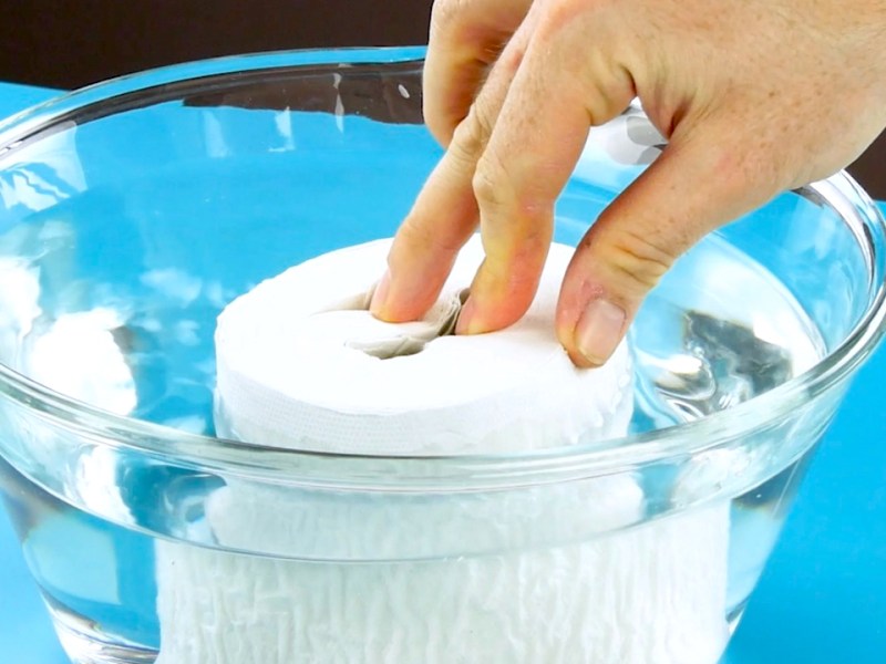 Toilettenpapierrolle wird eingeweicht