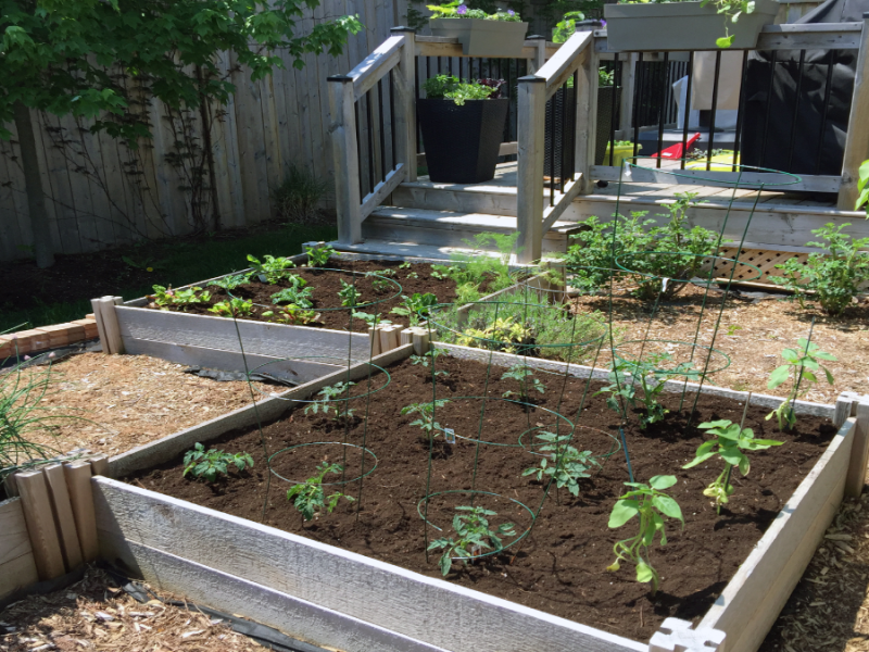 7 Anbaumethoden, die deine Gartenarbeit auf ein neues Level heben