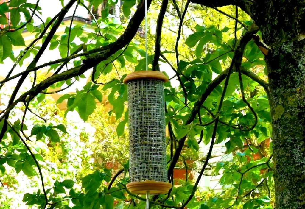 Futtersäule für Vögel hängt im Garten.