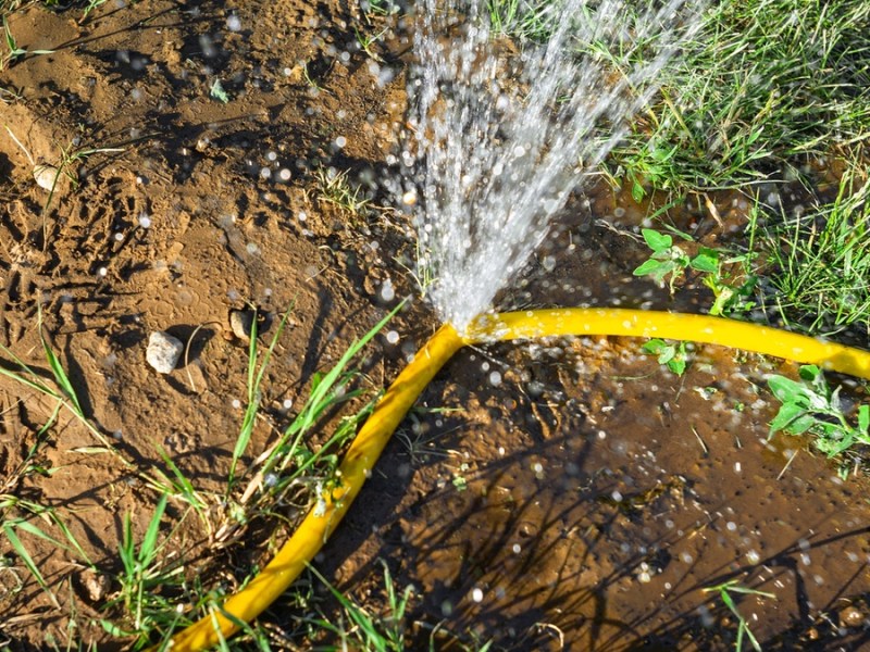 Ein kaputter, gelber Gartenschlauch, aus dem das Wasser entweicht.