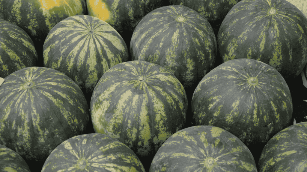 Sommer: So erkennst du sofort, ob deine Wassermelone wirklich süß und reif ist