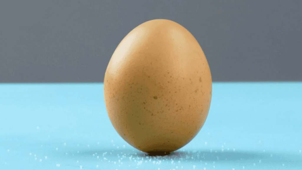 Experimente mit Eiern