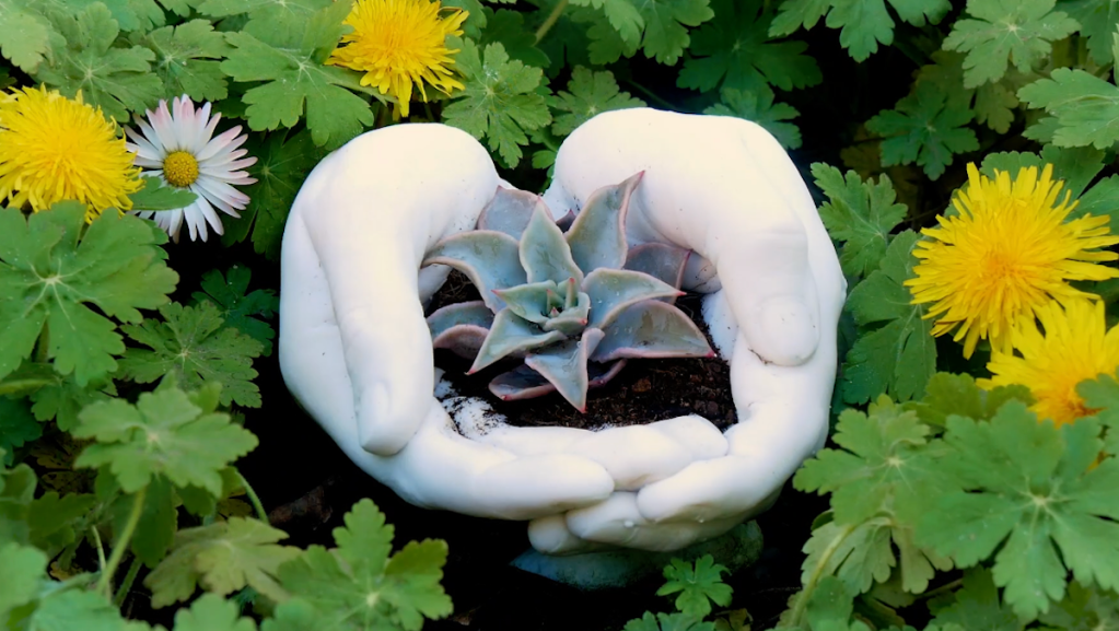 10 tolle Ideen für Frühlingsdeko mit Pflanzen