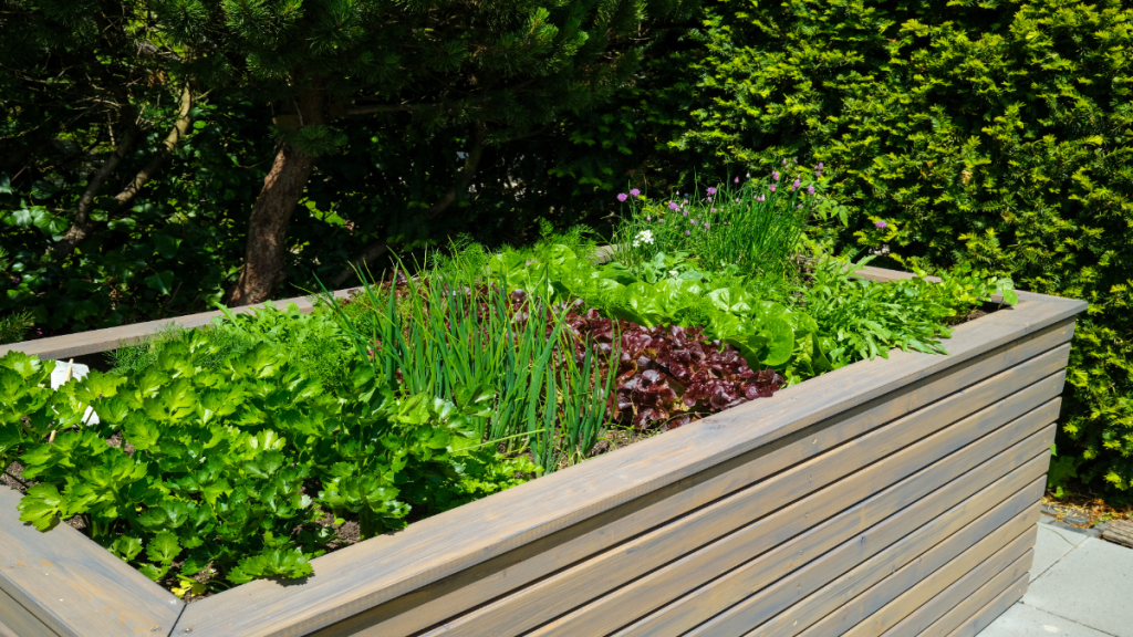 Hochbeet anlegen: 7 Tipps für deine Gartengestaltung