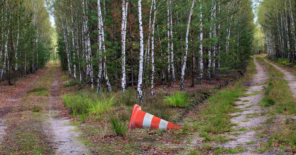 Umgefallener Leitkegel an einer Weggabelung im Wald.
