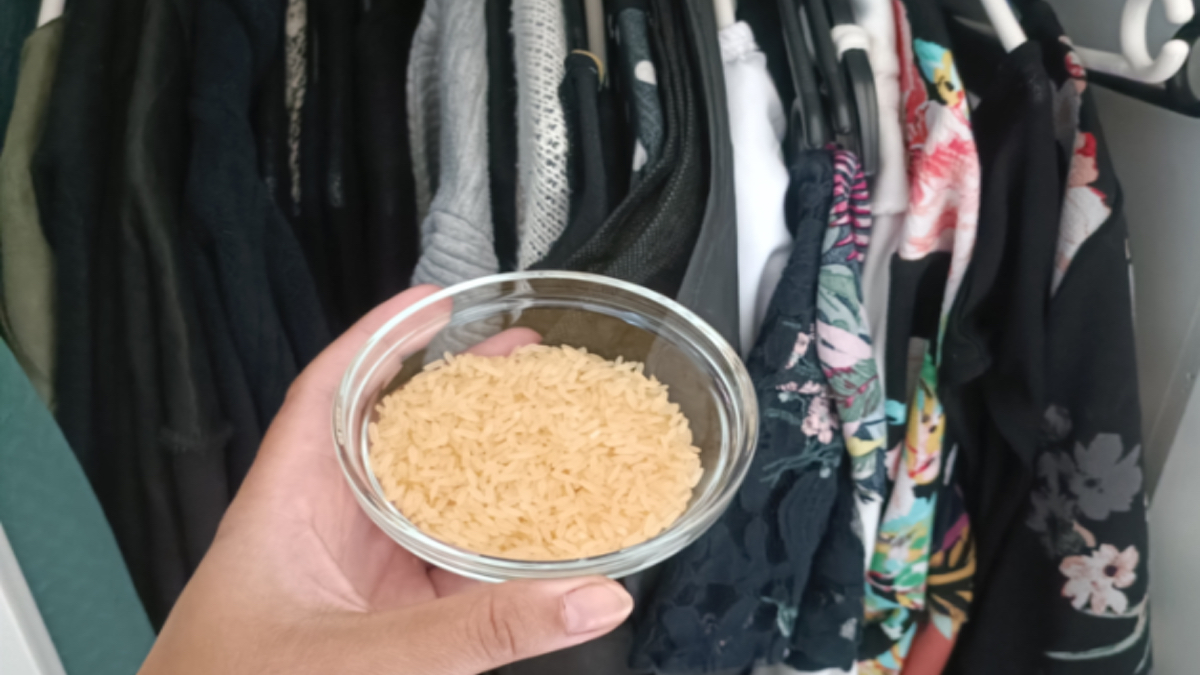 Reis im Kleiderschrank.
