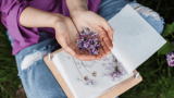 Blumen und Blüten trocknen
