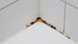 5 Tipps, um verfärbte Silikonfugen zu reinigen.
