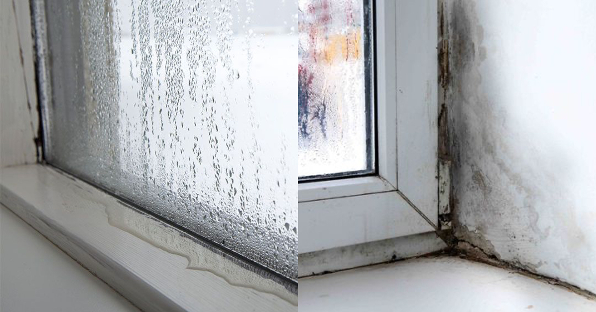 Kondenswasser an den Fenstern – das hilft!: Faßbender GmbH