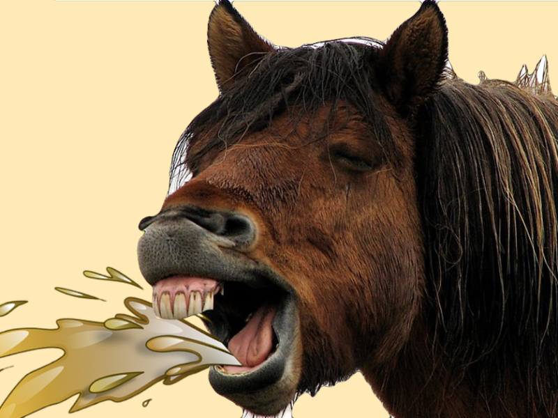 Beitragsbild_Redewendungen