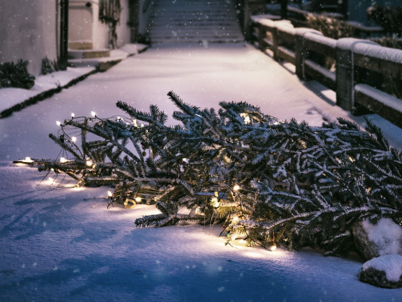 Weihnachtsbaum mit Lichterkette und Ständer liegt auf einer verschneiten Straße