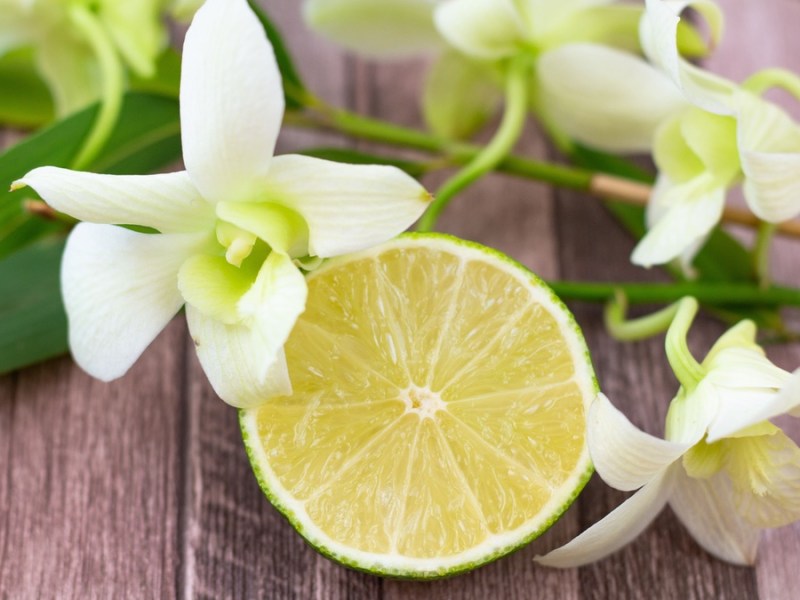 Zitrone und Orchidee
