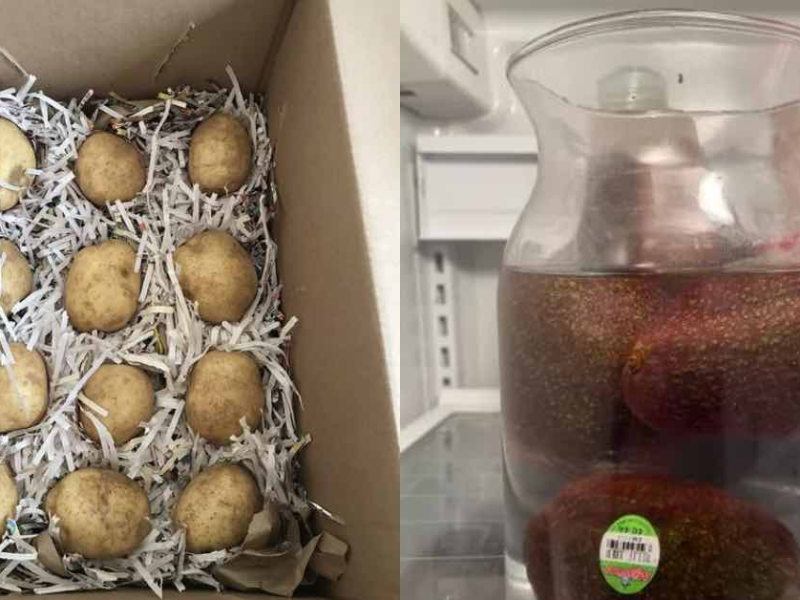 Links: Kartoffeln in einer Kiste mit Zeitungsschnipseln. Rechts: Avocados in einem Wassergefäß