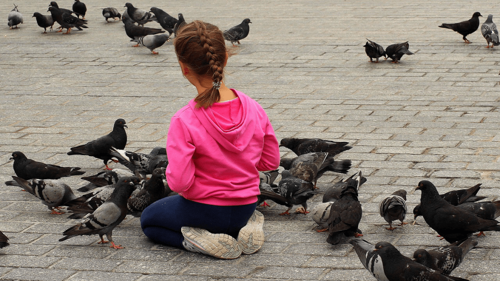 Ein Kind sitzt draußen auf einem Steinboden und füttert Tauben.
