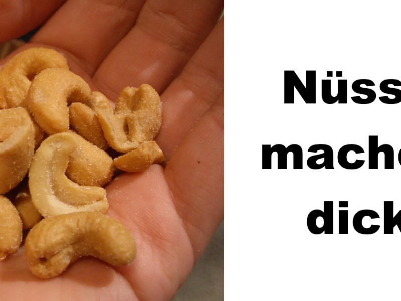Links liegen einige Cashewkerne in einer Hand, linkst steht "Nüsse machen dick"