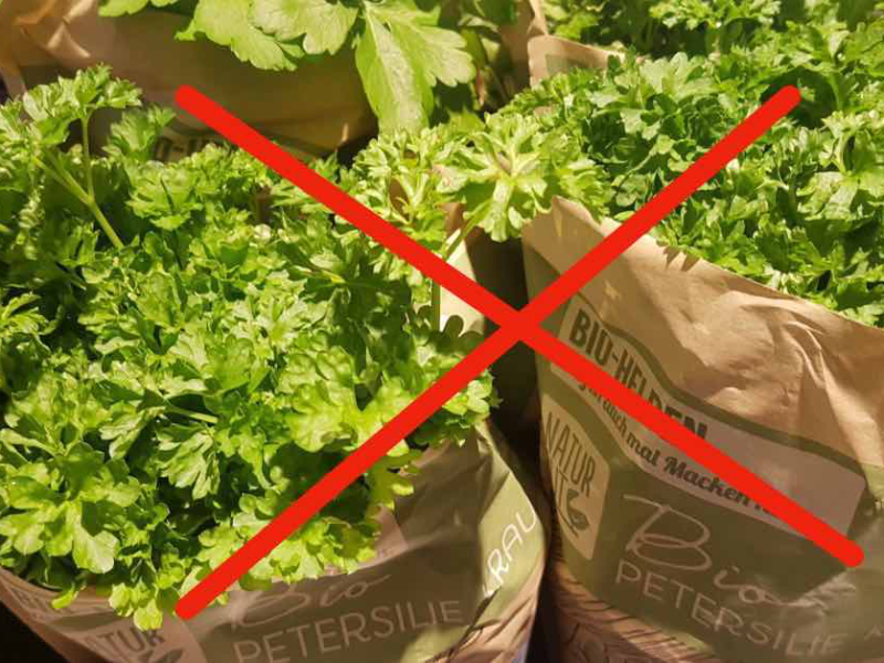 Petersilie im Topf steht im Supermarkt zum Verkauf
