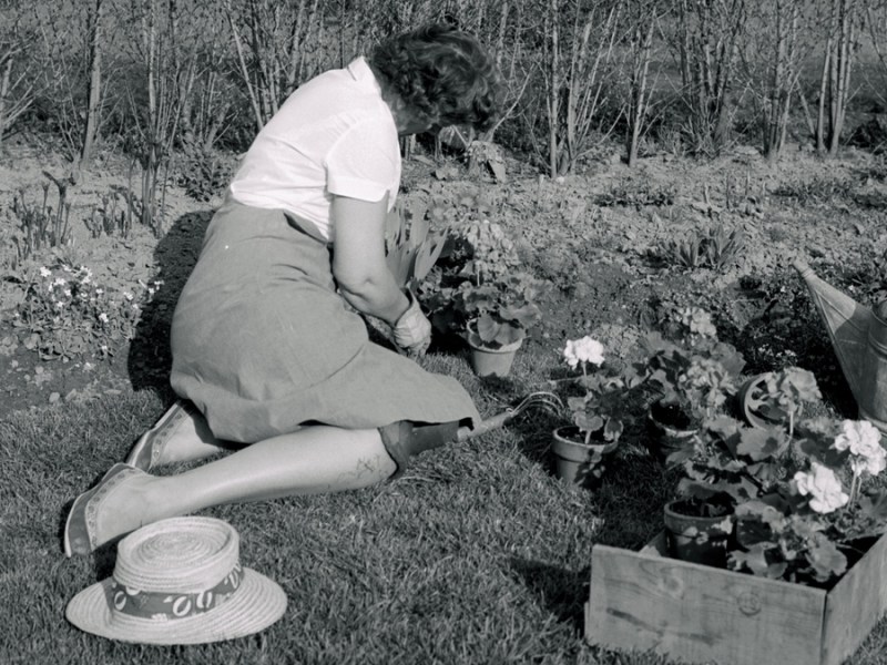 Altes Gartenwissen: 15 Tipps für die Gartenarbeit.