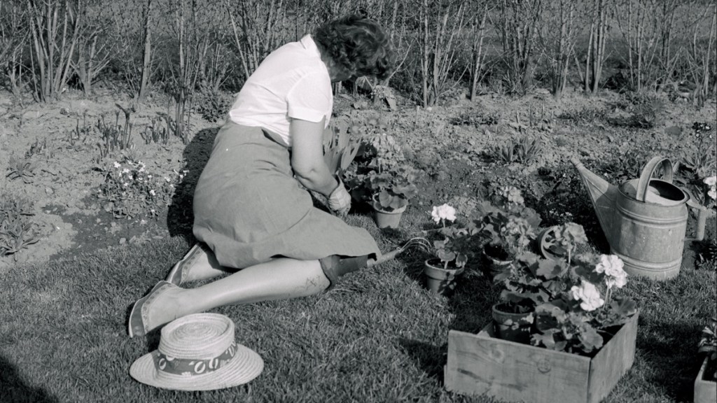 Altes Gartenwissen: 15 Tipps für die Gartenarbeit.