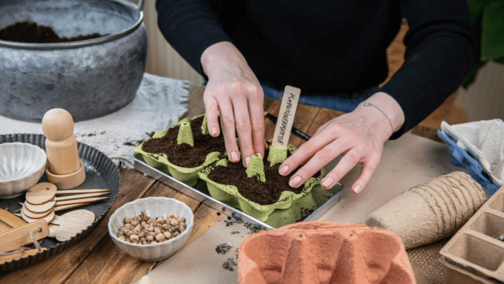 Zimt im Garten: So hilft er deinen Pflanzensamen