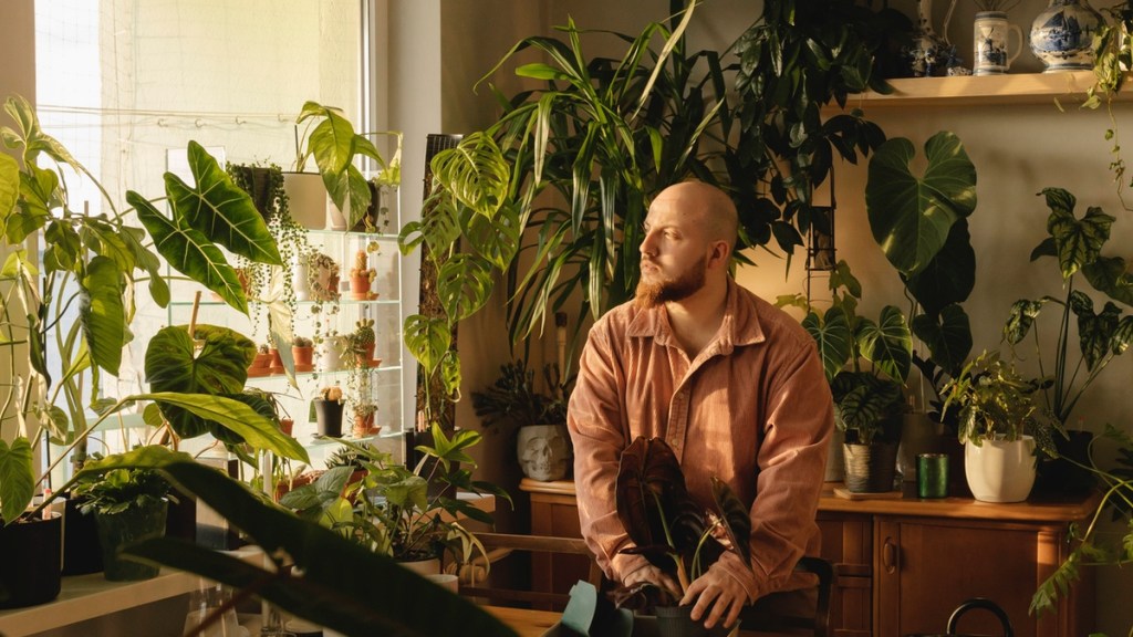 Garten am Fenster: So gelingt dir dein Indoor-Garten