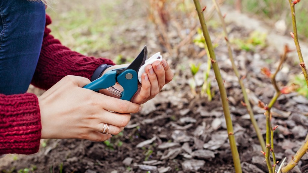 6 Tipps für die Gartenarbeit im März