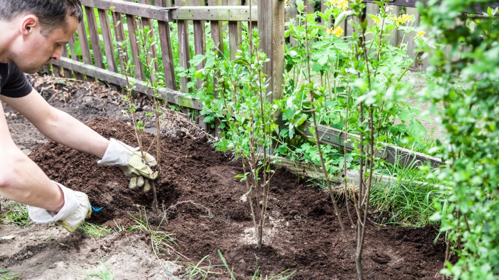 Tierfreundlicher Garten: 10 Dinge, die du ändern kannst