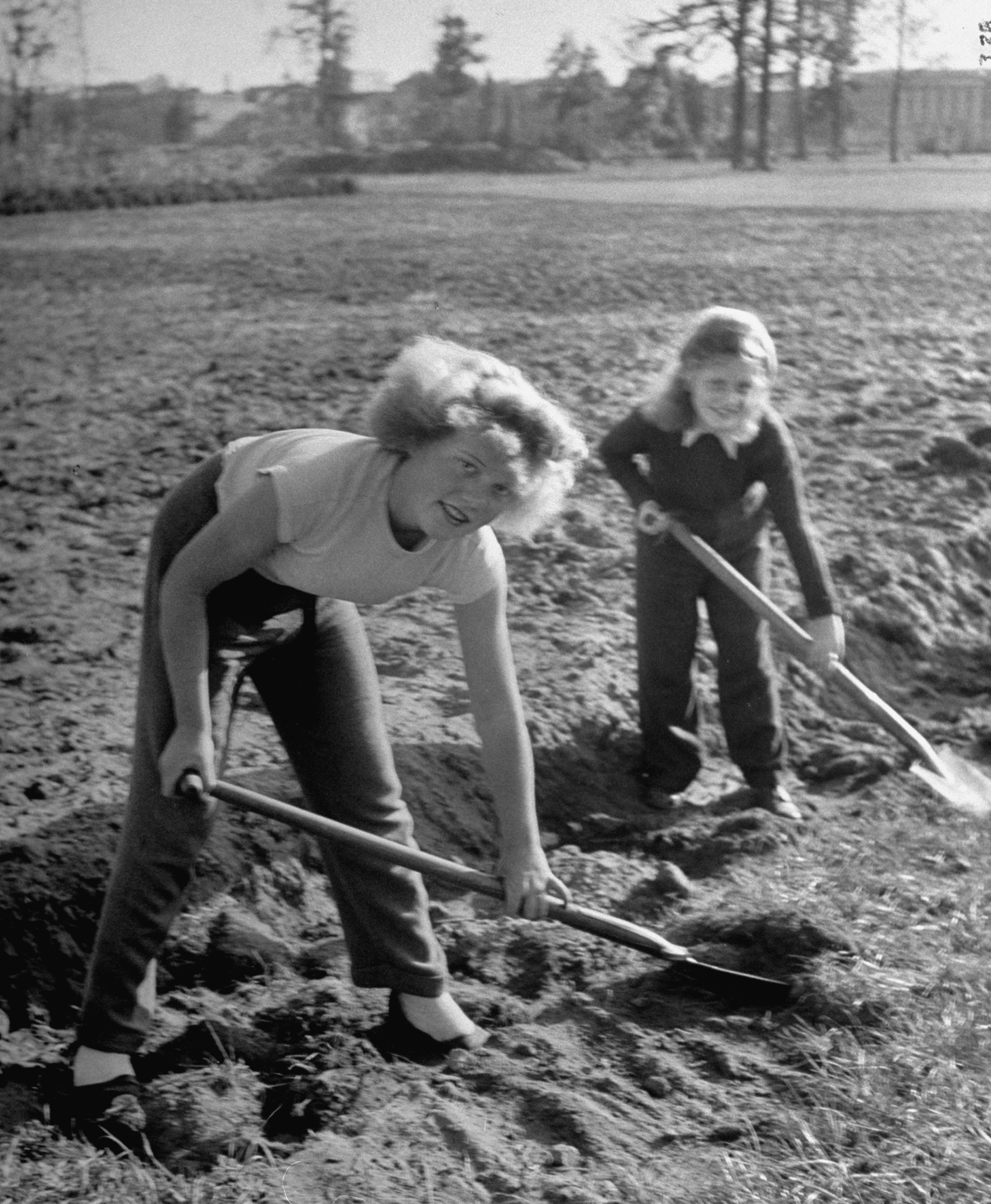 Garten-Tipps, die deine Oma noch kannte - Genialetricks