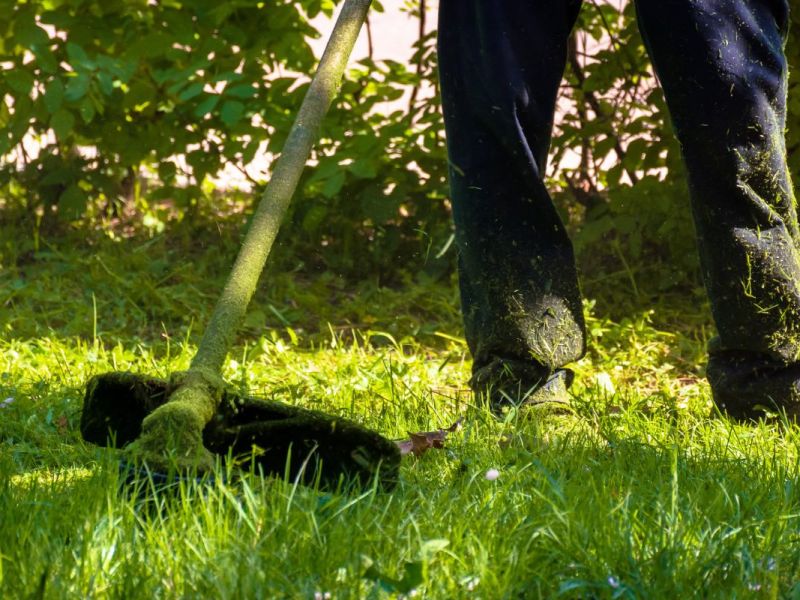 Garten: 12 Fehler bei der Pflege, die deinem Rasen schaden
