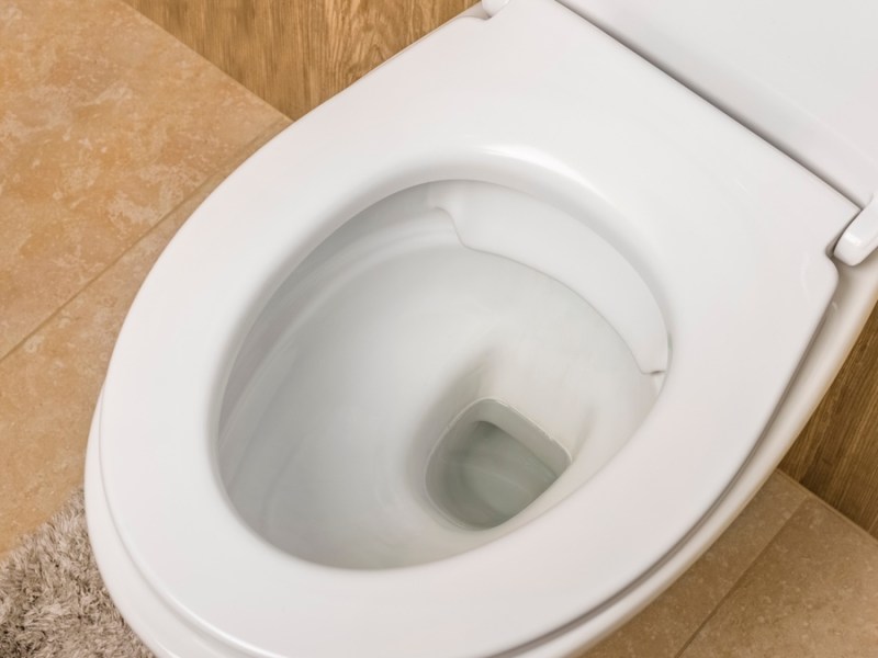 Schwarze Würmer in der Toilette: Das kannst du dagegen tun.