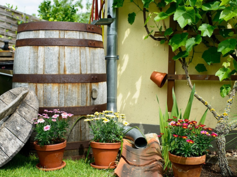 10 Ideen, wie du die Regentonne im Garten in Szene setzt