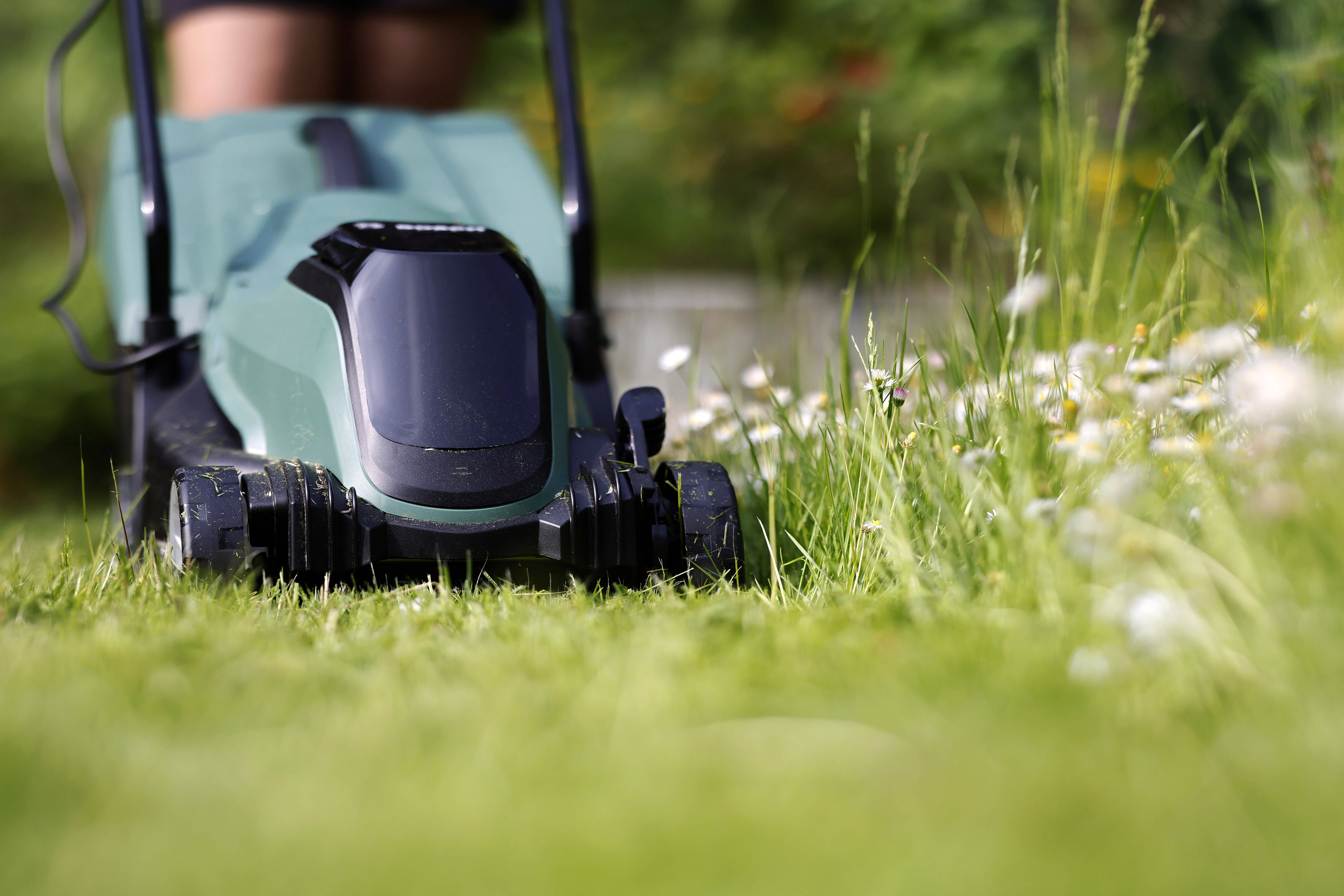Garden: Mow the lawn with a glass bottle as insect protection