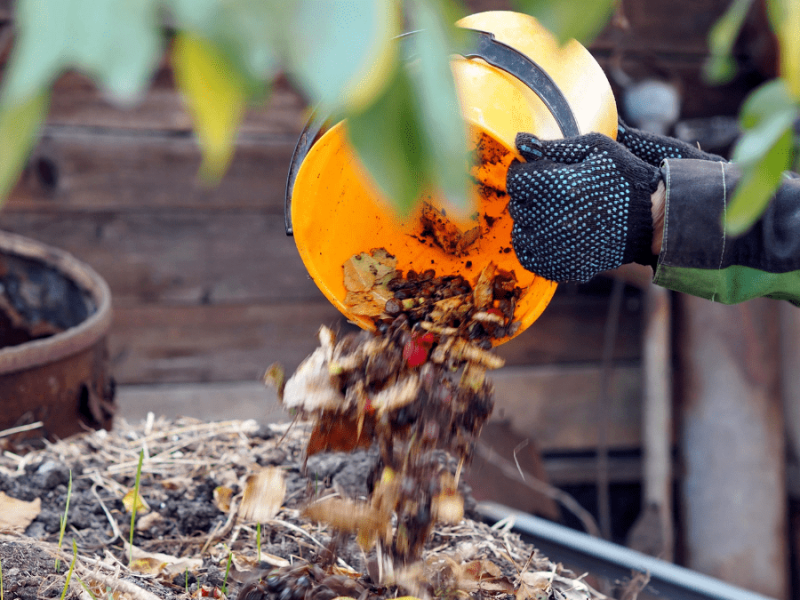 Natron im Garten: Dafür kannst du das Hausmittel einsetzen