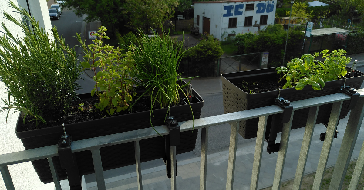 Balkon bepflanzen