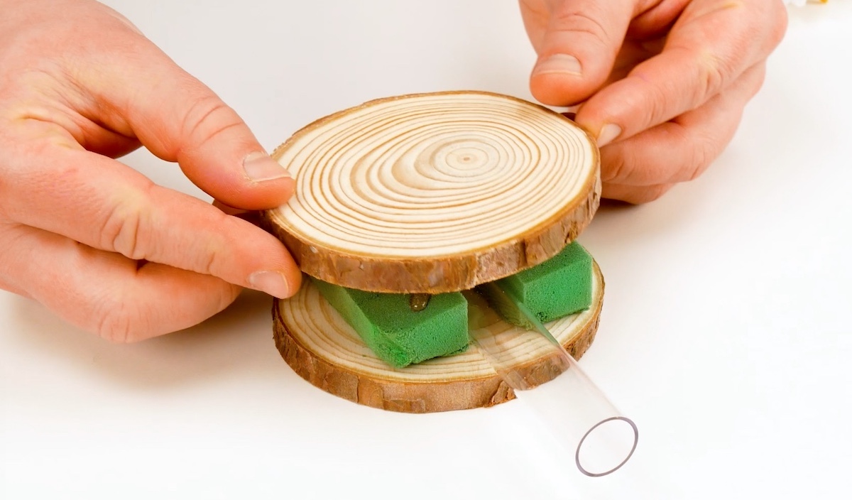 Ein Reagenzglas wird zwischen zwei Baumscheiben geklebt.
