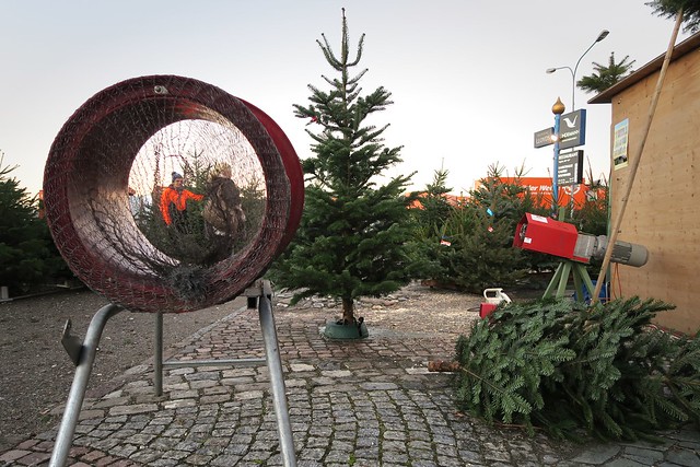 Weihnachtsbaumverkauf