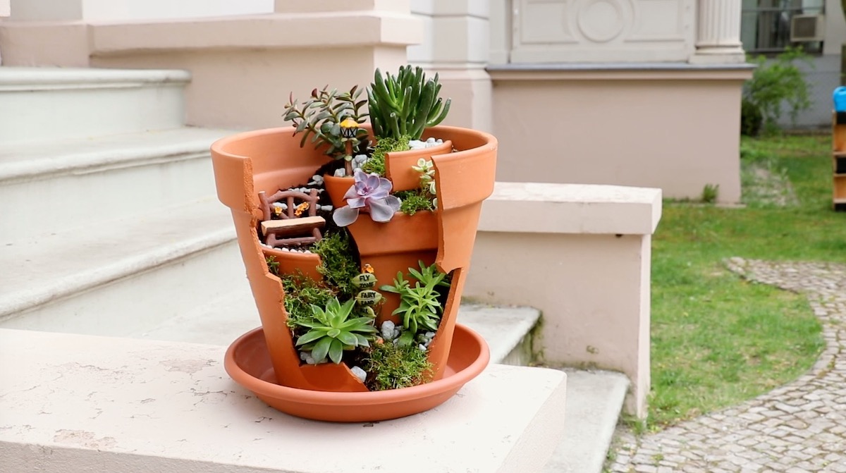 Ein kleiner Feengarten in einem Blumentopf.