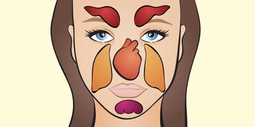 Illustration eines Gesichts mit abgebildeten inneren Organen.