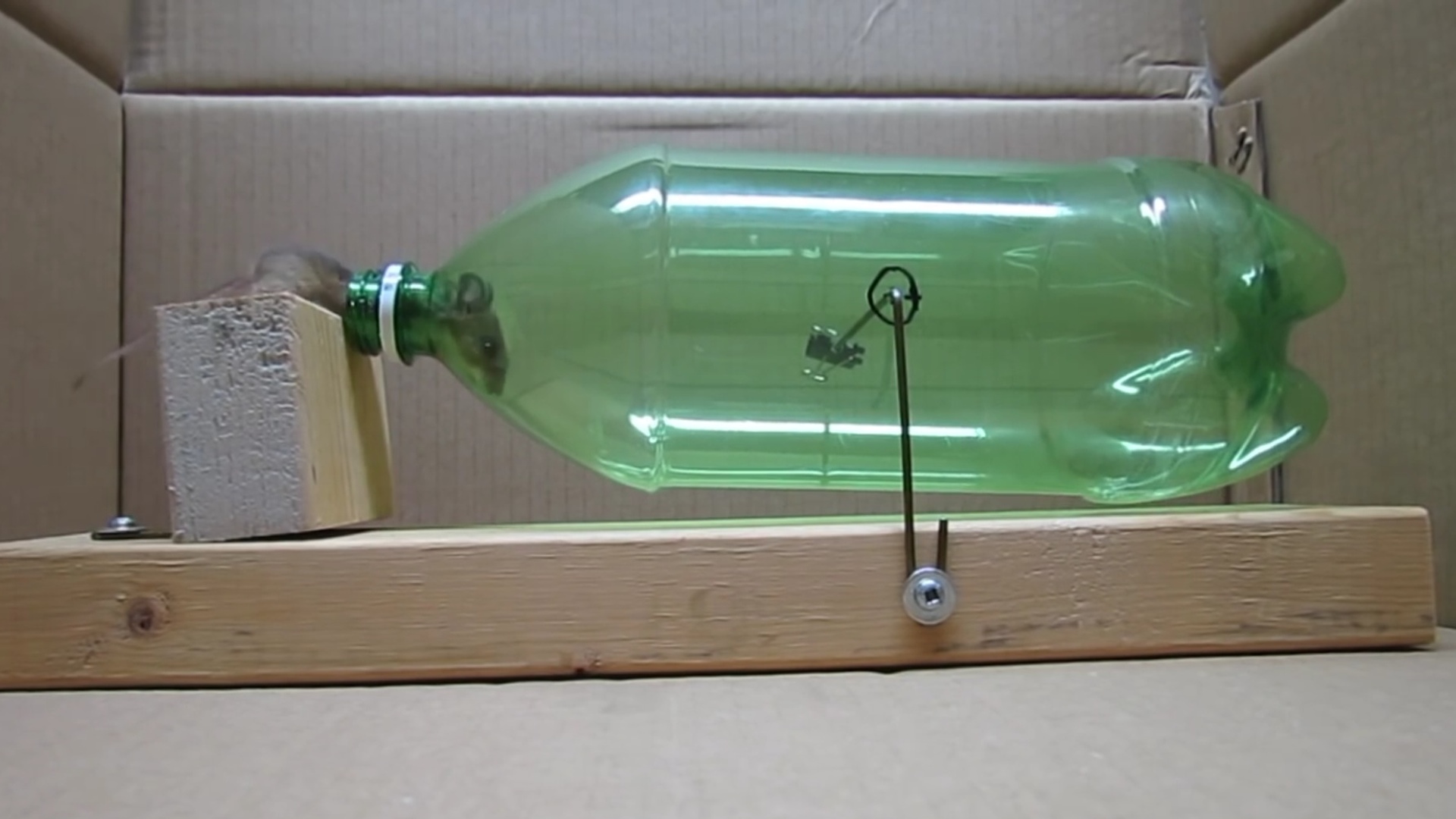 Tötungsfreie Mausefalle selber bauen aus einer Plastikflasche. Genialetricks